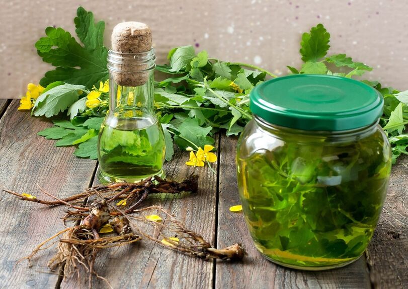 Infusion of celandine to combat papillomas